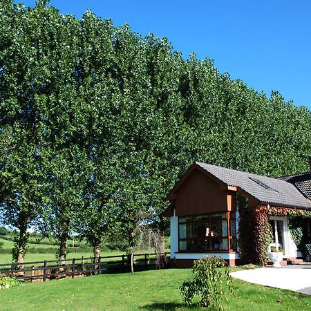 The Bungalow Farmhouse Clomantagh Esterno foto