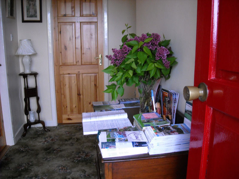 The Bungalow Farmhouse Clomantagh Esterno foto